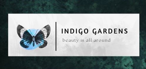 Indigo Gardens - beauty is all around