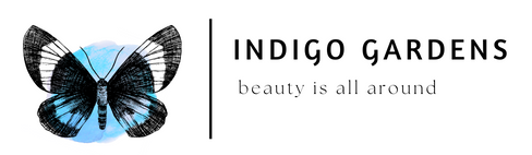 Indigo Gardens - beauty is all around