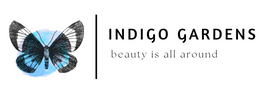 Indigo Gardens - beauty is all around